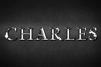 Charles typography in silver metallic effect design element