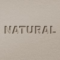Paper cut natural word font typography