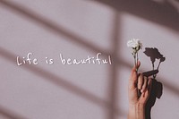 Life is beautiful quote