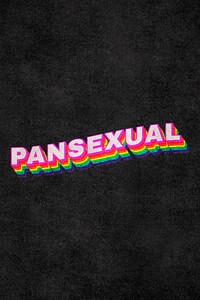 PANSEXUAL rainbow word typography on black background