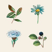 Hand drawn flower vector set vintage botanical illustration