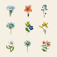 Hand drawn flower vector set vintage botanical illustration