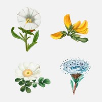 Vector vintage flower set hand drawn illustration