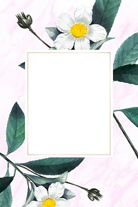 Flower and fruit frame vector with design space