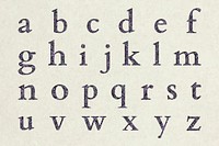 Floral patterned alphabet letter vector set in purple