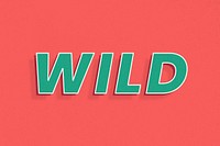 Wild word italic font shadow typography