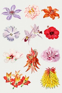Vintage flowers psd cut out sticker collection