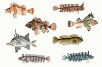 Sea animal fish psd hand drawn sticker pack