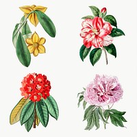 Hand drawn lowers vector vintage botanical set