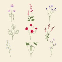 Cute wildflower illustration vector set