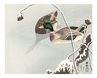 Ohara Koson poster, vintage Mallards Japanese print (1925&ndash;1936). Original from The Rijksmuseum. Digitally enhanced by rawpixel.