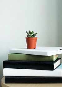 Stacked books with plant