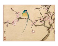Bird on tree art print, vintage Bird with Plum Blossoms, remixed from the artwork of Zhang Ruoai