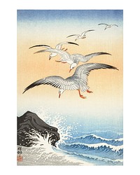 Ohara Koson seagull woodblock print, vintage Five seagulls above turbulent sea wall art decor and painting