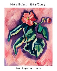 Marsden Hartley flower painting, vintage Pink Begonias wall art decor