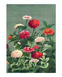 Red flowers wall art, vintage wall decor, enhanced from the artwork of L. Prang & Co