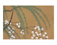 Kamisaka Sekka flower woodblock print, vintage Blossoms from Momoyogusa&ndash;Flowers of a Hundred Generations Japanese wall art decor