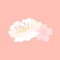 White sakura vector design element