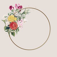 Beautiful buttercup circle frame vector colorful flower vintage illustration