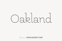 Flamenco open source font by LatinoType