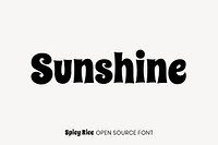 Spicy Rice open source font by Astigmatic