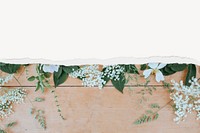 White flowers background, with ripped paper border