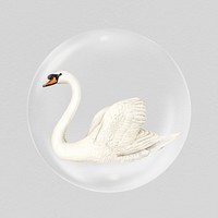 Beautiful swan sticker, animal in bubble psd