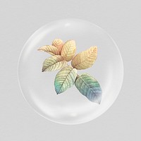 Autumn leaf branch sticker, botanical illustration in bubble psd