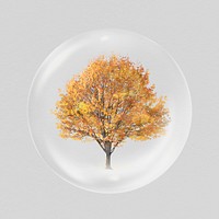 Autumn tree sticker, watercolor nature illustration in bubble psd