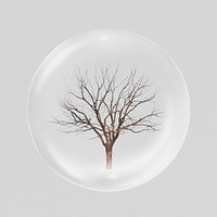 Leafless tree in bubble sticker, Autumn concept art psd
