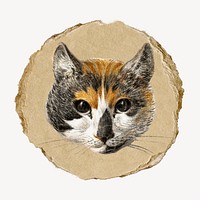 Cat's head vintage illustration on torn paper