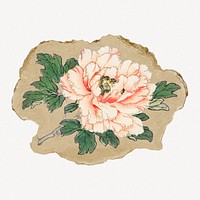 Pink rose vintage illustration on torn paper