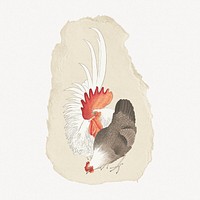 Ohara Koson's chicken vintage illustration on torn paper