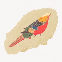 Golden Pheasant bird, japanese vintage illustration on torn paper