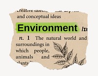 Environment definition, vintage ripped dictionary word