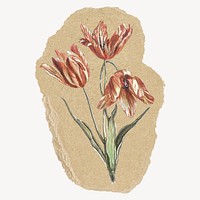 Tulip flower sticker, ripped paper design psd