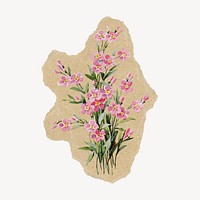 Saponaria flower sticker, ripped paper design psd