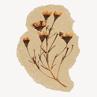 Autumn flowers sticker, ripped paper design psd