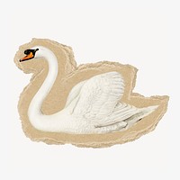 Swan bird sticker, ripped paper design psd