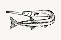 Needlefish drawing, vintage illustration psd. Free public domain CC0 image.