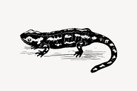 Salamander drawing, vintage animal illustration vector. Free public domain CC0 image.