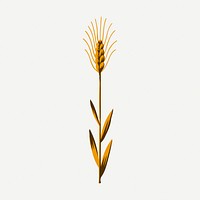 Wheat clipart, vintage plant illustration psd. Free public domain CC0 image.