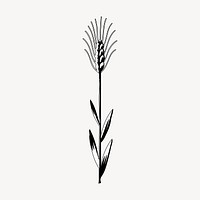 Wheat drawing, vintage plant illustration vector. Free public domain CC0 image.