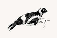 Ribbon seal drawing, vintage animal illustration vector. Free public domain CC0 image.