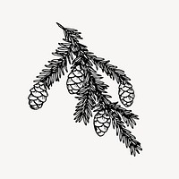 Hemlock drawing, vintage plant illustration vector. Free public domain CC0 image.