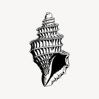 Sea shell drawing, vintage illustration vector. Free public domain CC0 image.