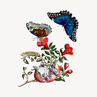 Butterfly clipart, vintage insect illustration vector. Free public domain CC0 image.