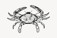 Crab drawing, vintage sea animal illustration vector. Free public domain CC0 image.