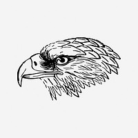 Snake eagle vintage animal illustration. Free public domain CC0 image.