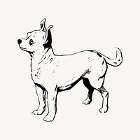 Chihuahua dog drawing, vintage animal illustration vector. Free public domain CC0 image.